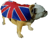 british%20bulldog.gif